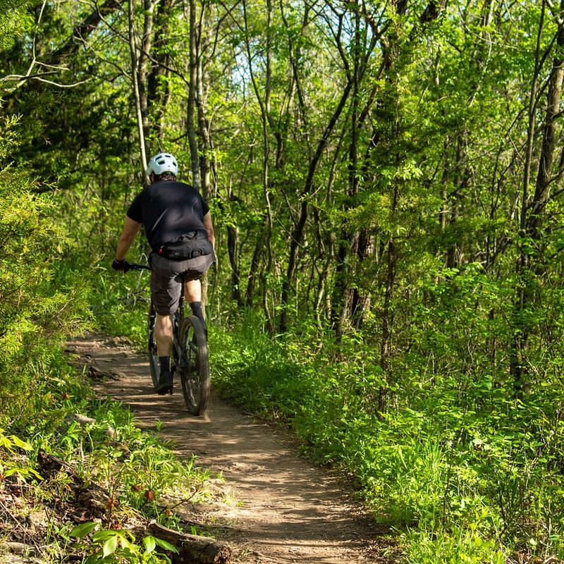 mountain biking trail in georgia.