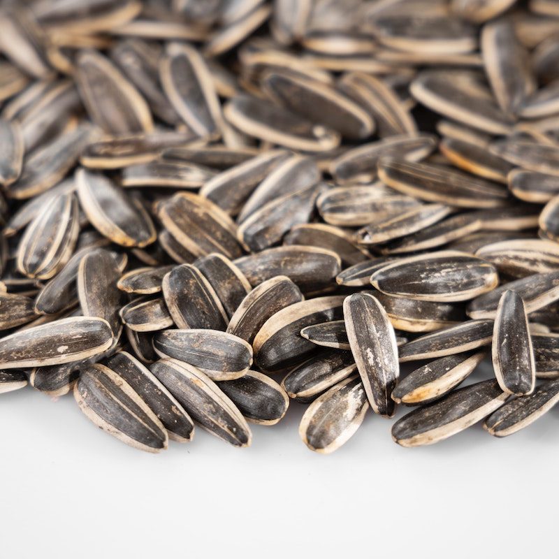 Sunflower seeds