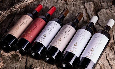 Selection of ETTORE Wine bottles on wooden table.