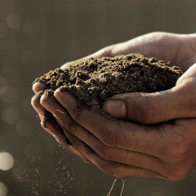 organic soil.