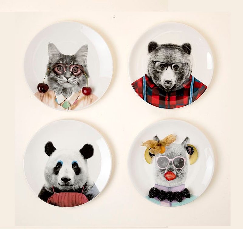 Four plates displayed on a white background with animal prints on the plates.