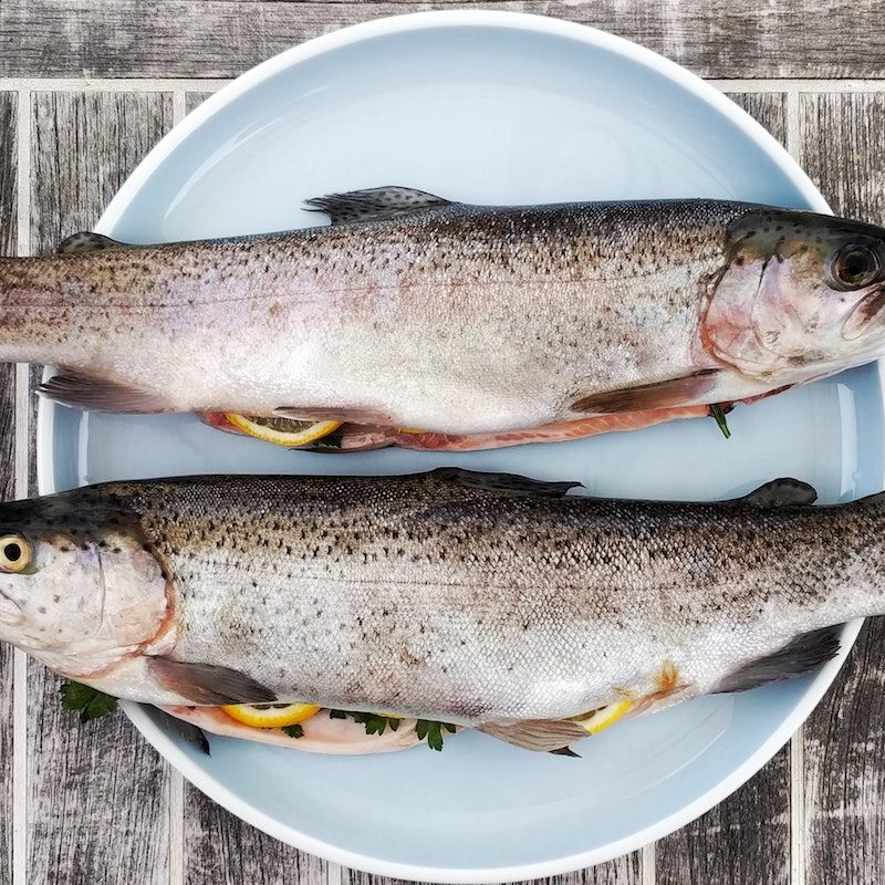 Two whole trout fish on a plate