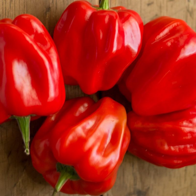 Red peppers
