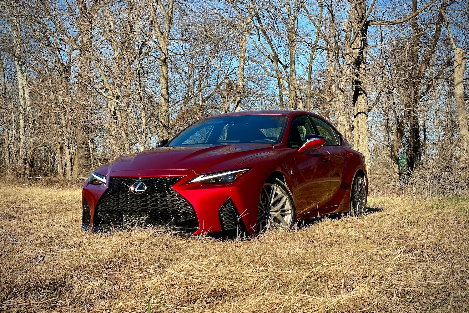 Lexus IS 500 front end from driver's side in a grassy field.