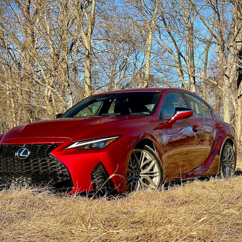 Lexus IS 500 front end from driver's side with trees in the back.