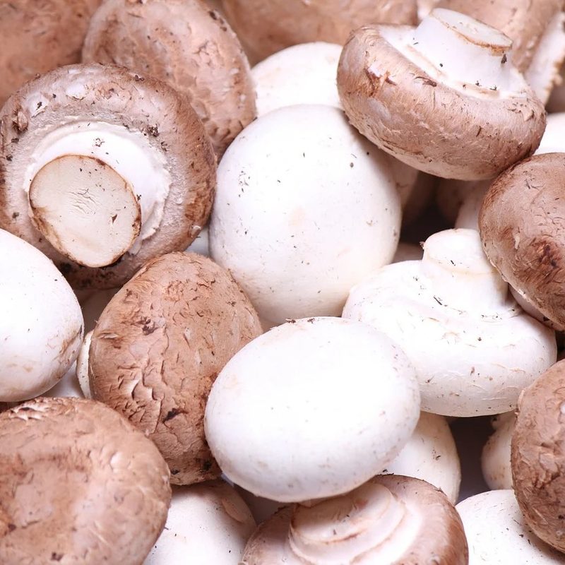 Pile of button mushrooms.