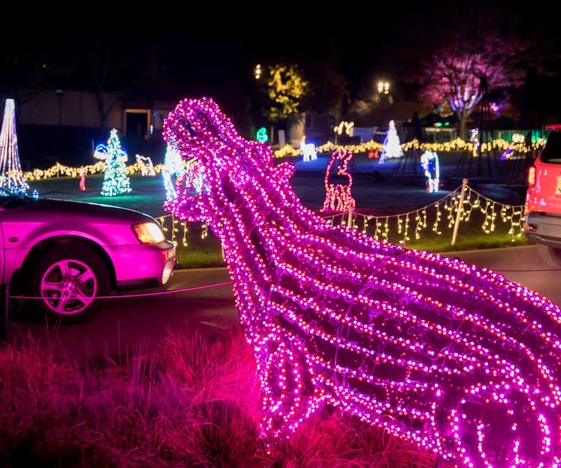 Oregon Zoo Lights.