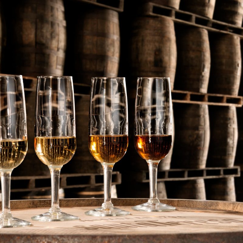 Santa Teresa rum flight.