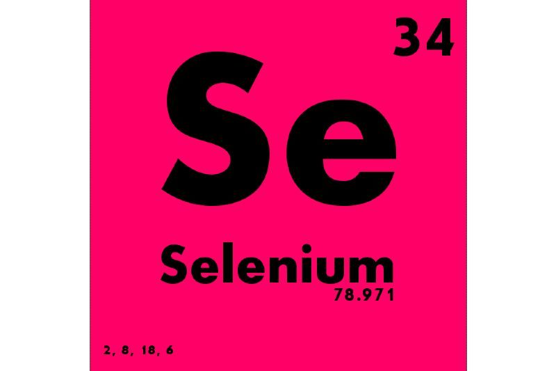 foods high in selenium