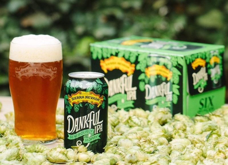 Sierra Nevada Dankful IPA poured in a pint glass next to a can and six-pack box of the beer, sitting on a bed of hops.