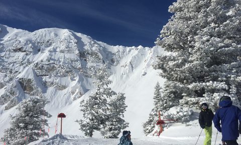 Snowbasin Ski Resort in Utah on a sunny, February 2019 day.