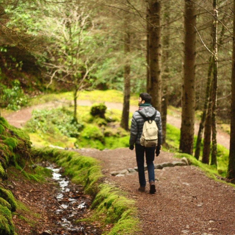 Man hiking on a trail