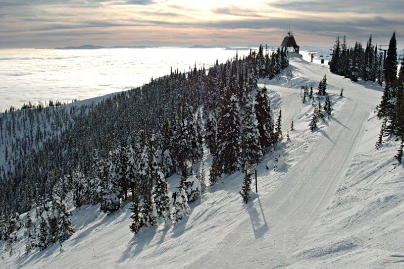 snow covered mountain with snow covered trees lining the side.