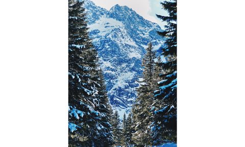 how to cross country ski xc featured