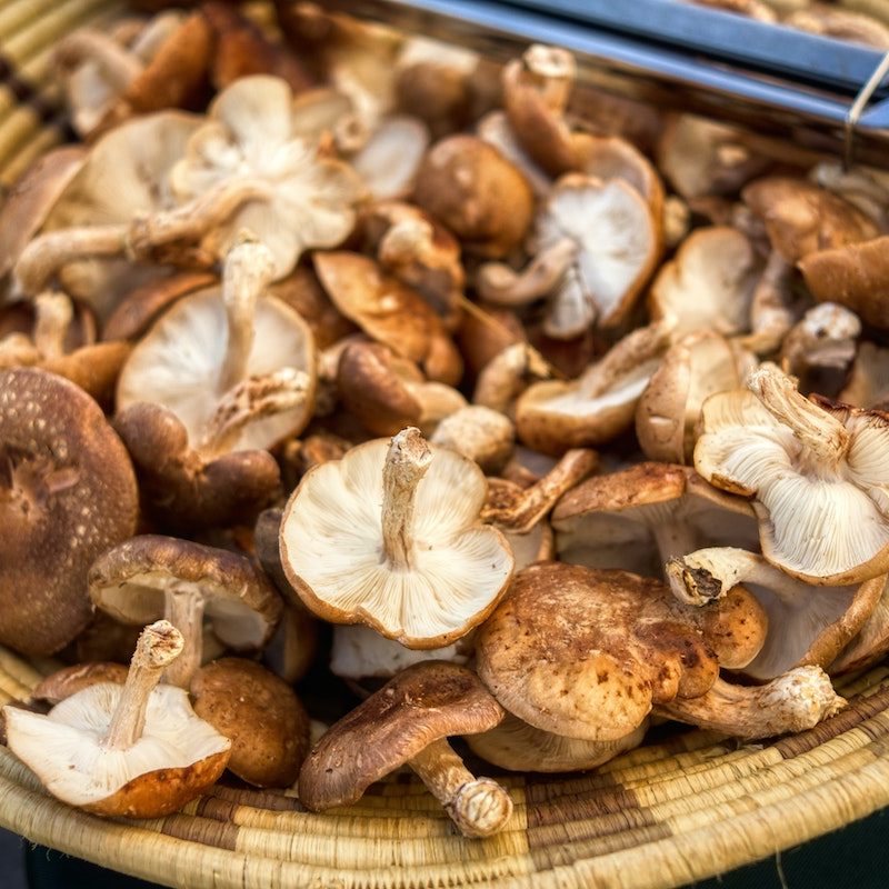 Shiitake mushrooms in a straw bowl.