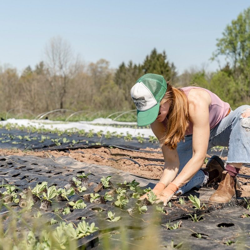 Sustainable farming.