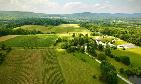 868 Estate Vineyards.
