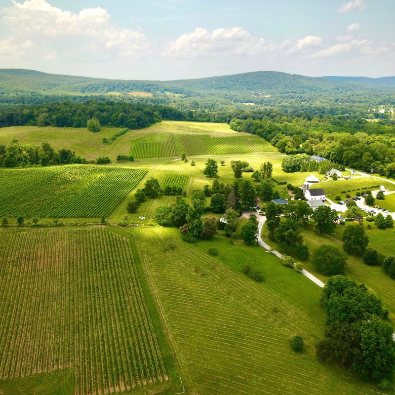 868 Estate Vineyards.