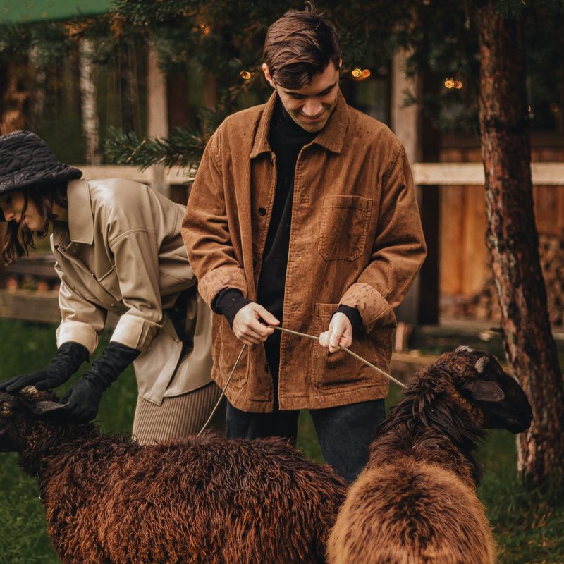 Couple feeding sheep