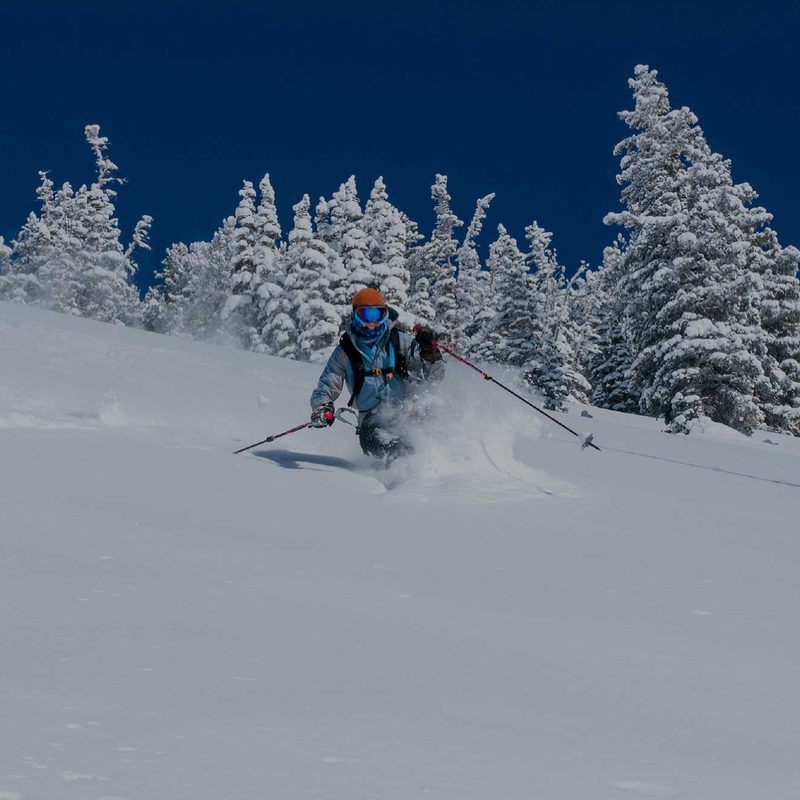 Skier on slopes with snow-covered trees in the background