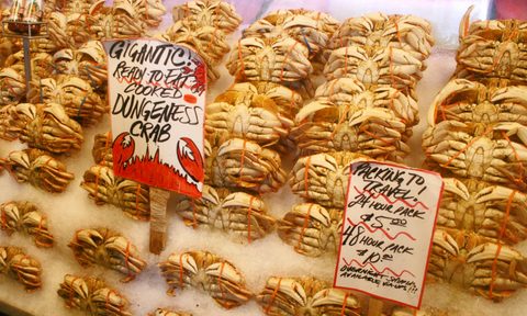 Dungeness crab at market.