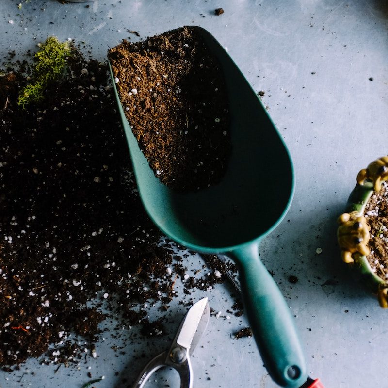Scoop of potting soil.