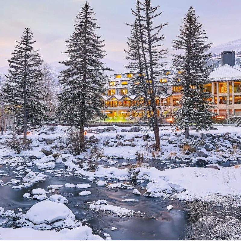Snowy forest beside Grant Hyatt Vail