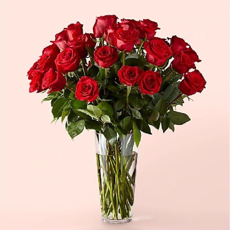 Long Stem Red Rose Bouquet from ProFlowers.