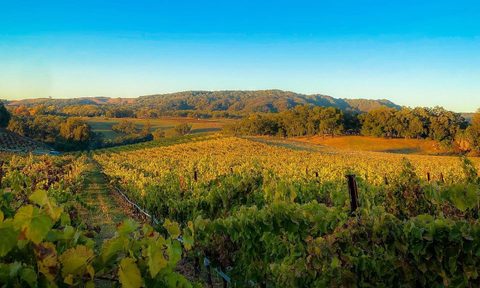 Paso Robles wine country.