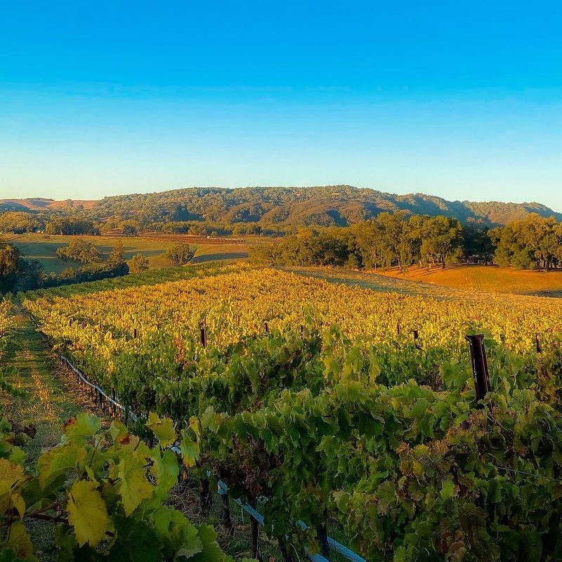 Paso Robles wine country.