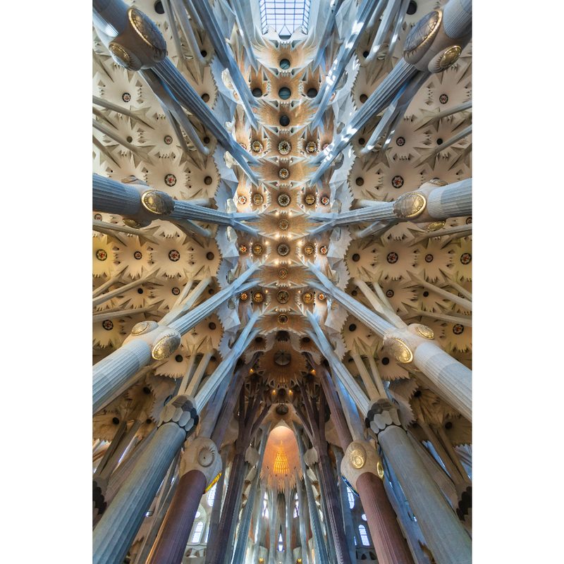 Interior ceiling of Sagrada Familia