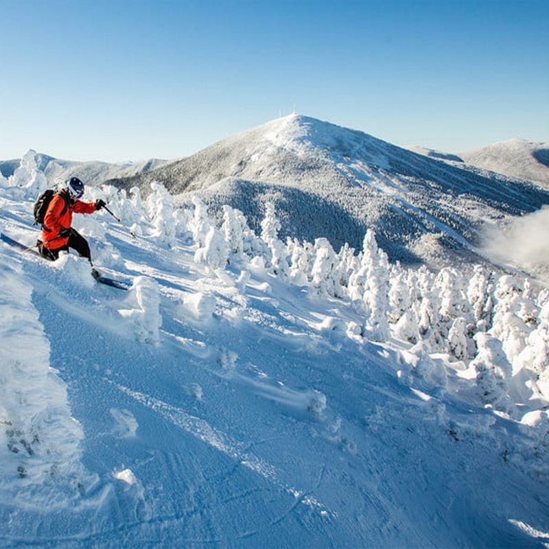 Person skiing down the mountain while maneuvering around trees