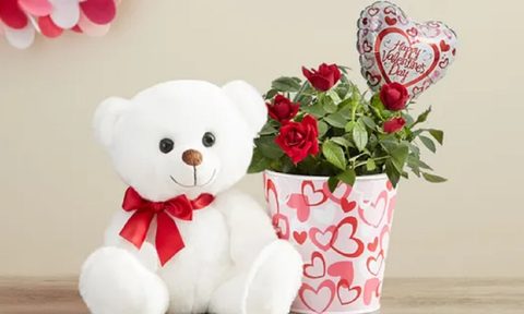 A bundle of roses from 1-800 Flowers with a teddy bear.