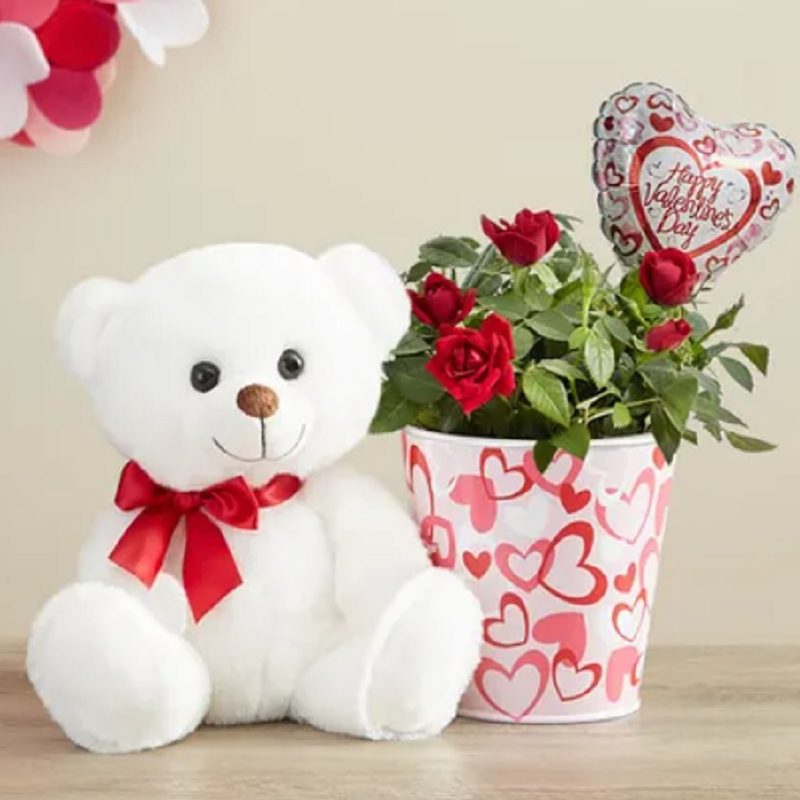 A bundle of roses from 1-800 Flowers with a teddy bear.