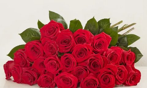 24 pieces of red roses in a bouquet from 1-800 Flowers.