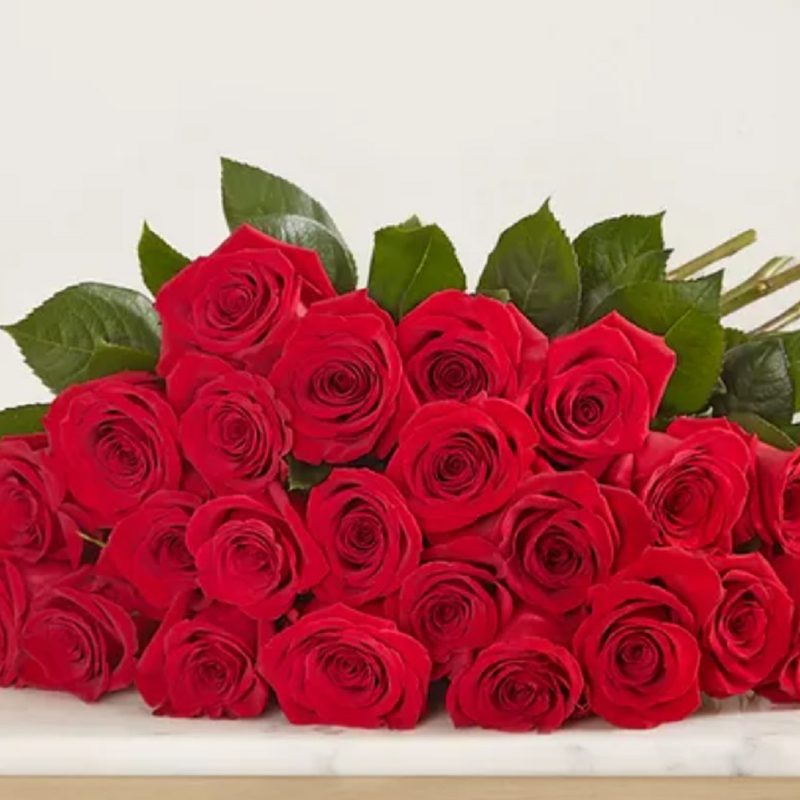 24 pieces of red roses in a bouquet from 1800Flowers.