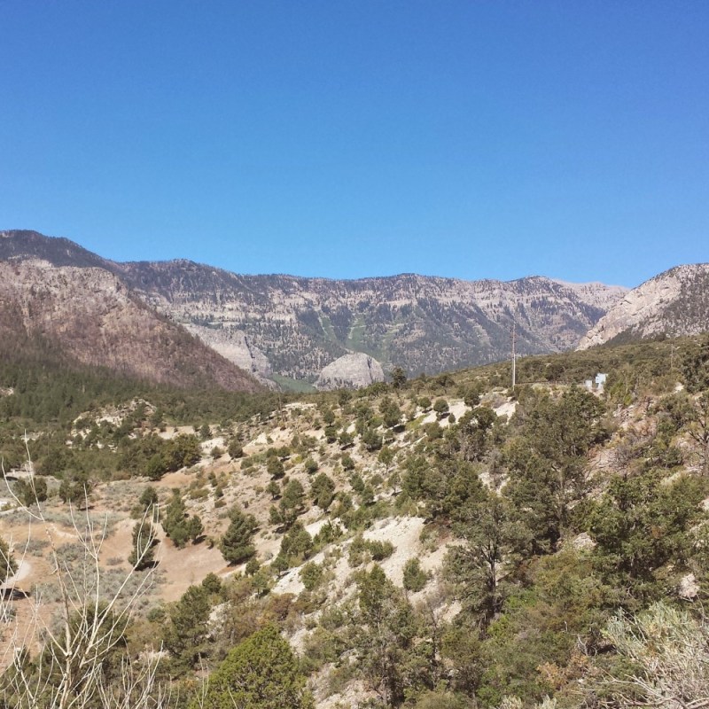 Mount Charleston.
