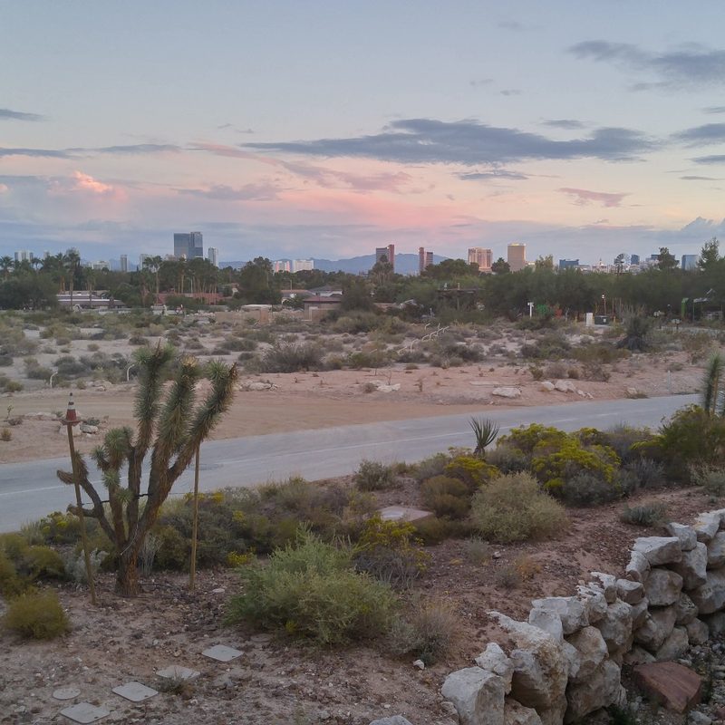 A view of the Las Vegas Strip from Springs Preserve