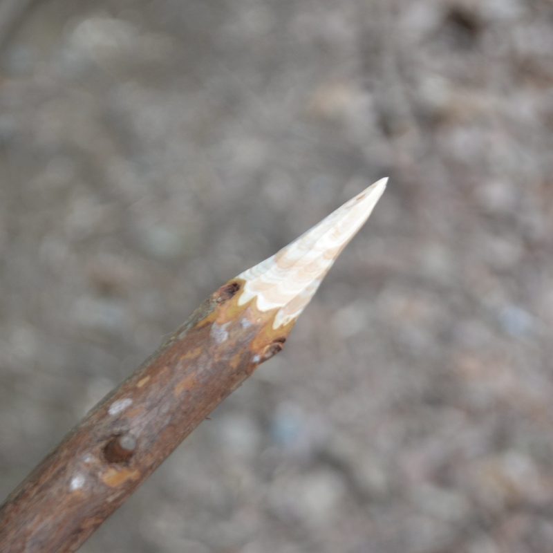A stick sharpened by hand to a point