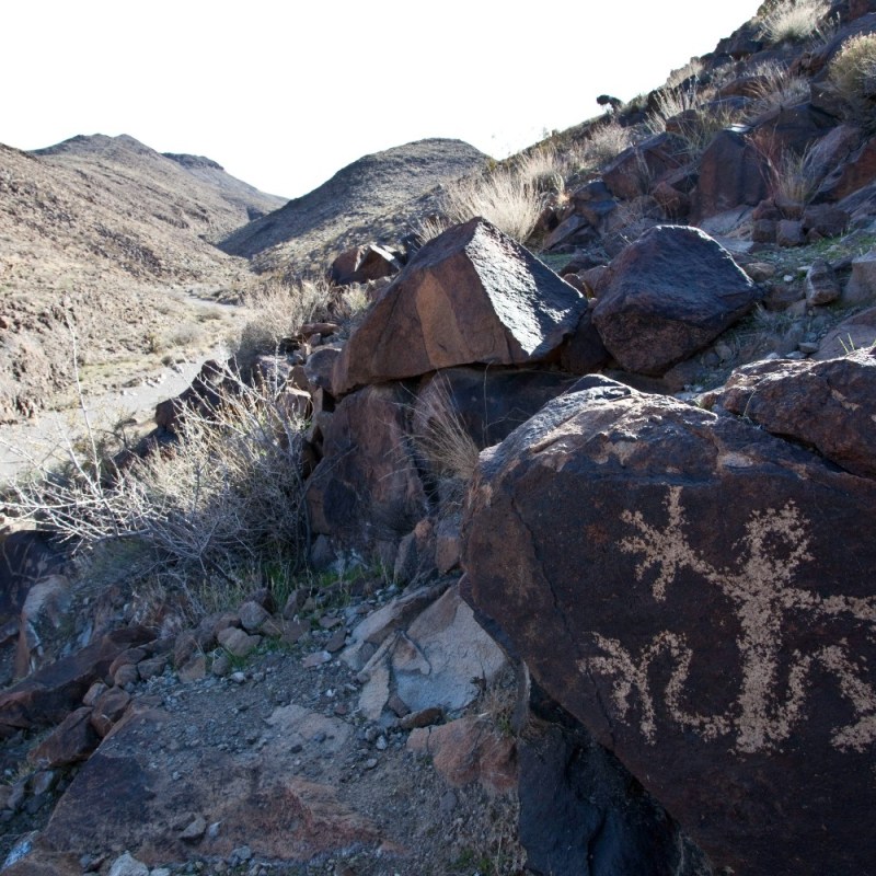 Petroglyph at Sloan Canyon near Las Vegas.