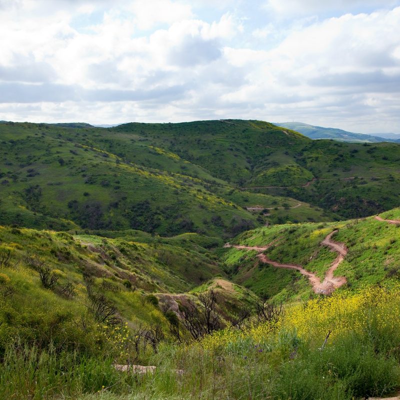 A view of the mountains at Santiago Oaks Regional Park in Orange, California.