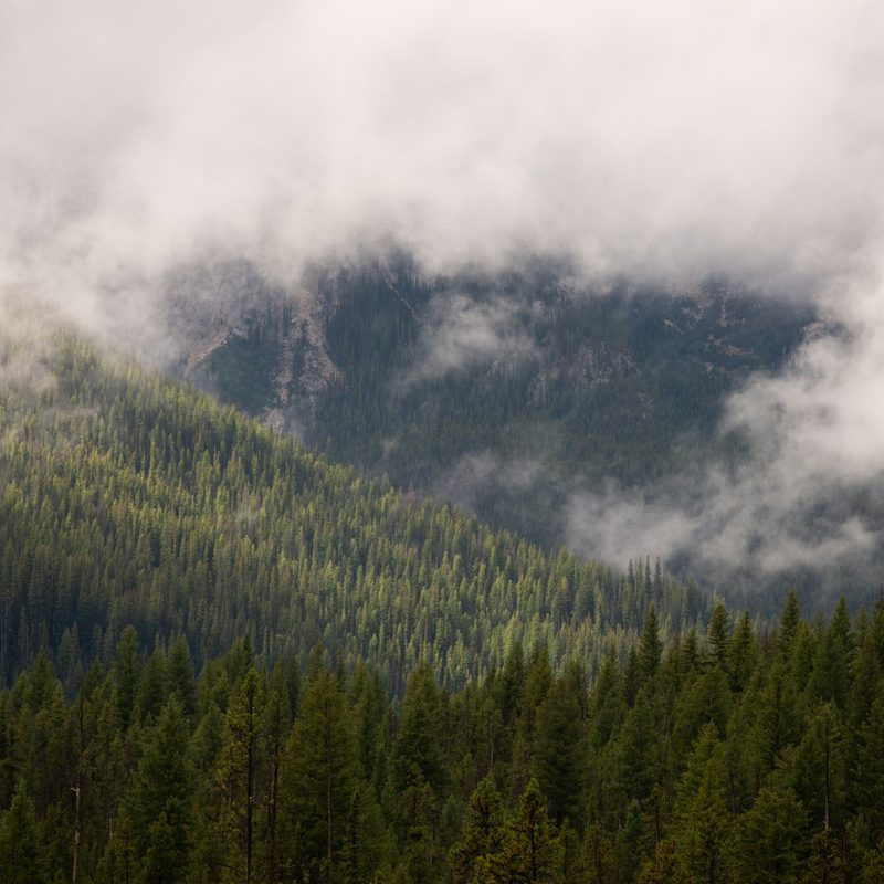 Sawtooth National Forest
