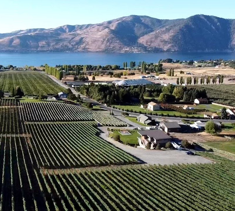 Aerial view of Amos Rome Vineyards.