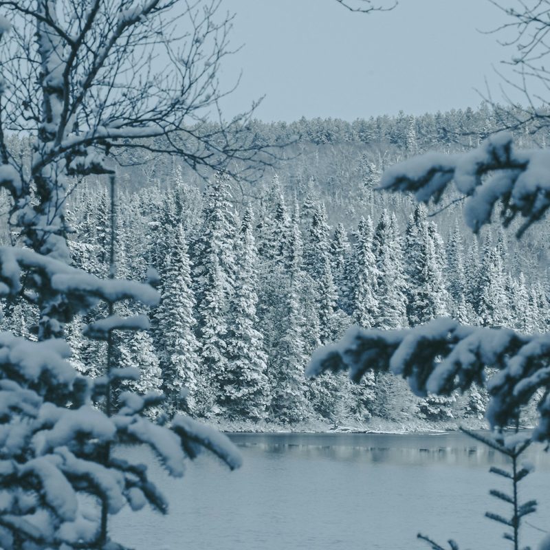 Superior National Forest in the wintertime