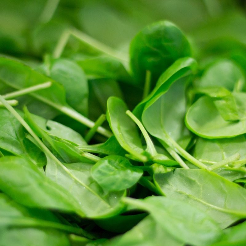 Fresh baby spinach leaves