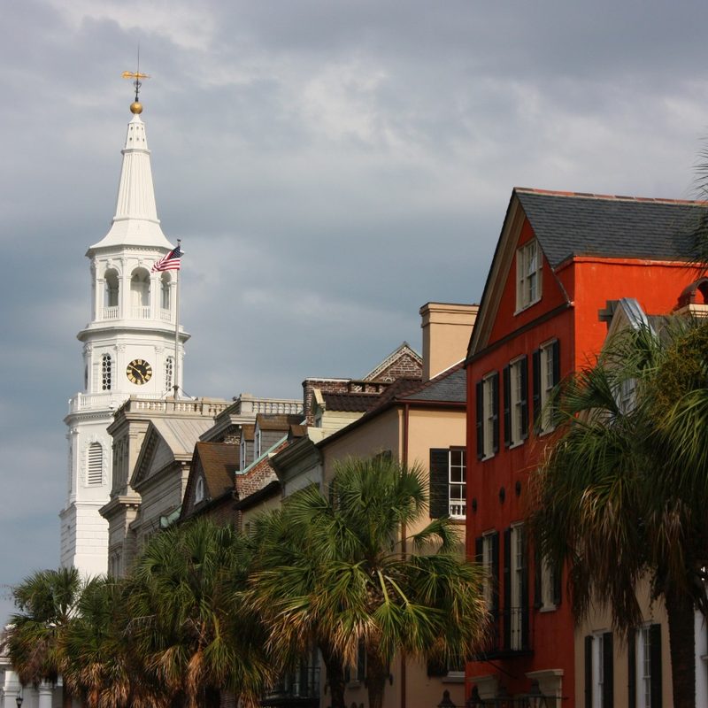The palmettos along Broad Street in Charleston, South Carolina.