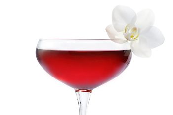 DeLeon Tequila Martini with a flower on the rim.