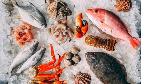 Tray of fish and seafood on ice.
