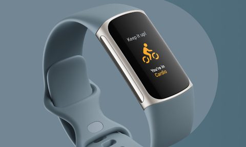 fitbit charge fitness band