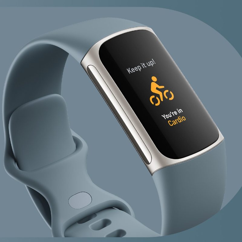 fitbit charge fitness band